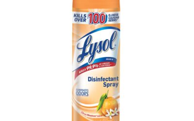 Lysol® Disinfectant Spray – Citrus Meadows